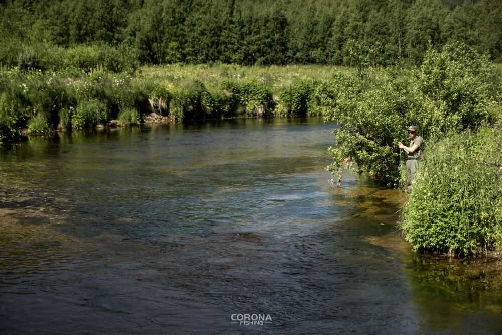 wędkarstwo skandynawia